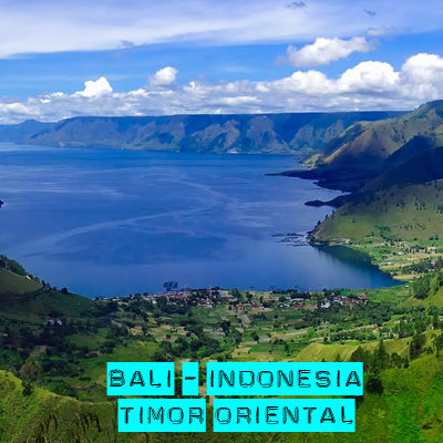 Bali - Indonesia – Timor Oriental. Información para el viajero