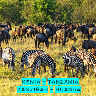 Kenia - Tanzania - Zanzíbar - Ruanda. Información para el viajero